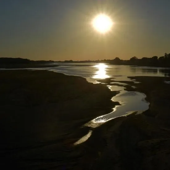 Record heat and low rainfall made 2022 France's hottest, driest year yet